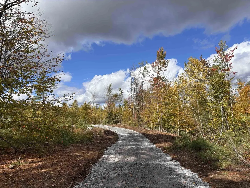 Lot 11-1 Ball Park Road Goshen NH 03752