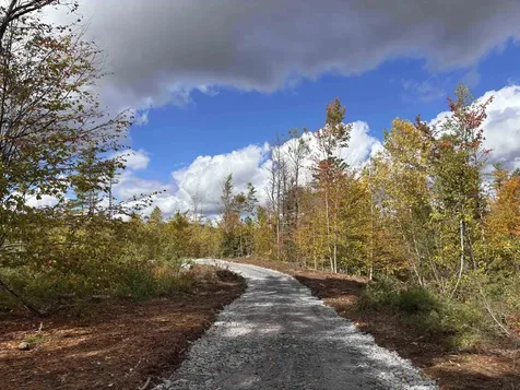 Lot 11-1 Ball Park Road Goshen NH 03752