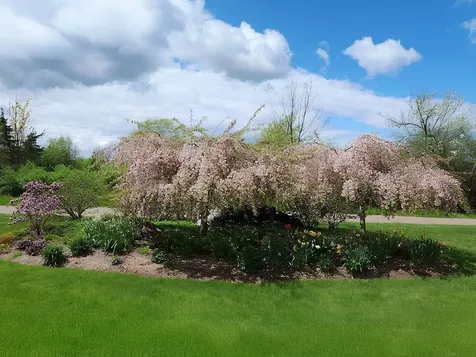 541 Golf Course Road South Burlington VT 05403