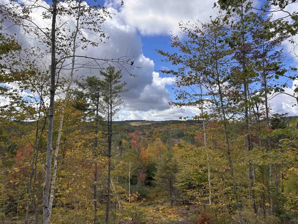 Lot 11-2 Ball Park Road Goshen NH 03752