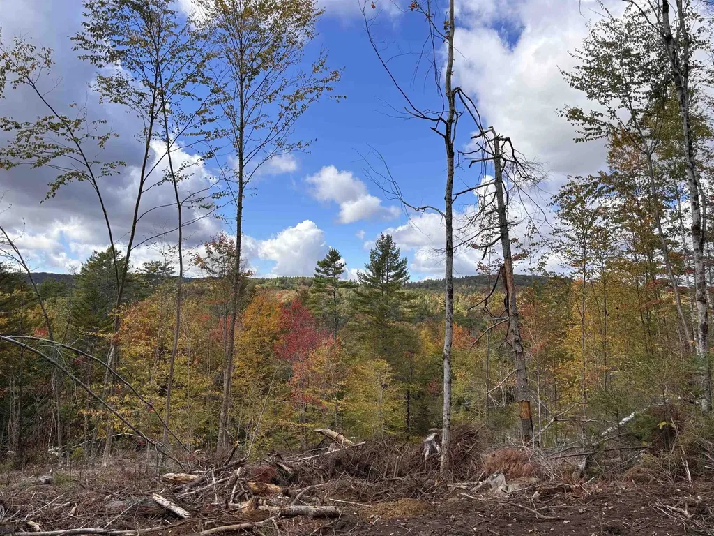 Lot 11-2 Ball Park Road Goshen NH 03752