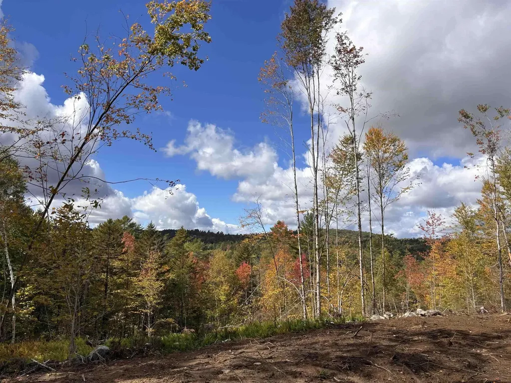 Lot 11-2 Ball Park Road Goshen NH 03752