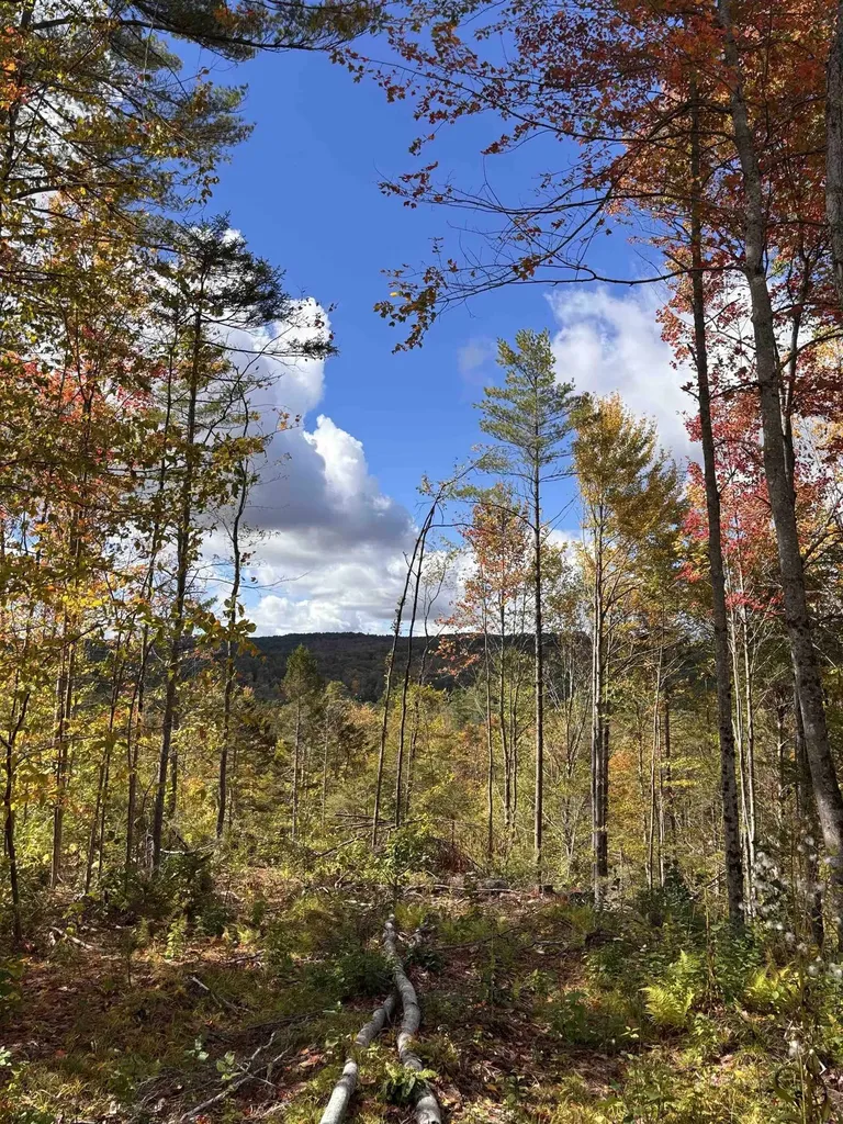 Lot 11-2 Ball Park Road Goshen NH 03752