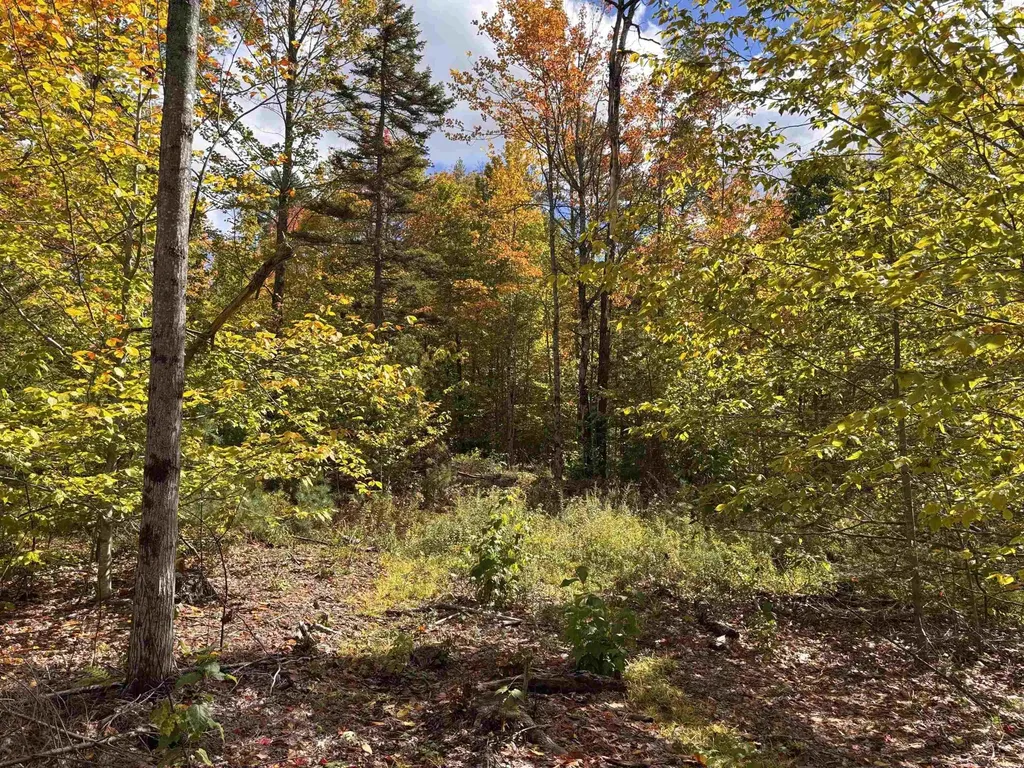 Lot 11-2 Ball Park Road Goshen NH 03752
