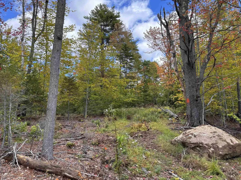 Lot 11-2 Ball Park Road Goshen NH 03752