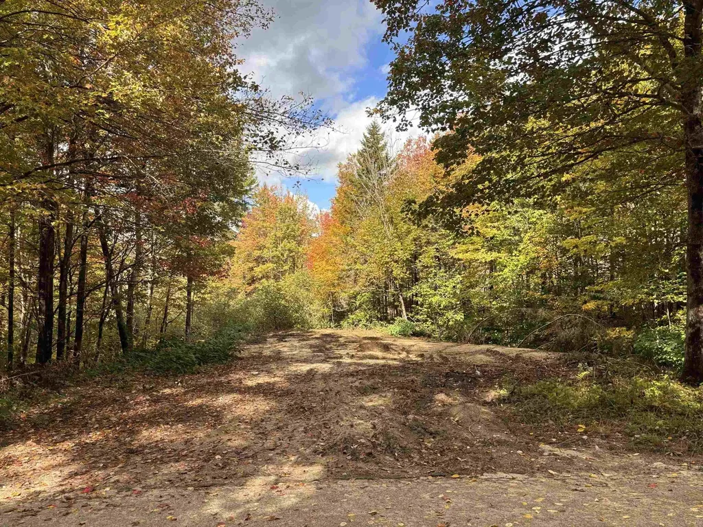 Lot 11-2 Ball Park Road Goshen NH 03752