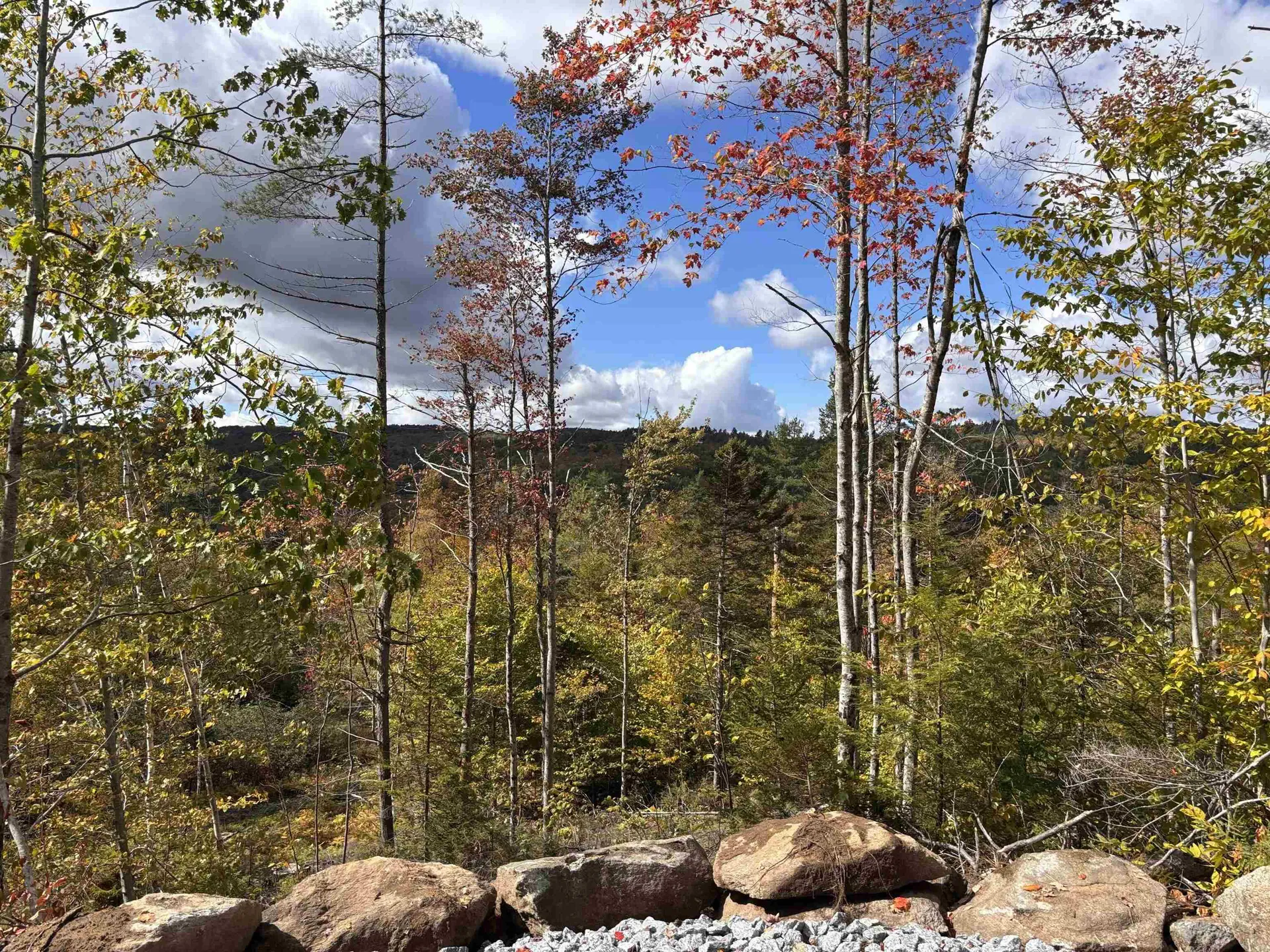 Lot 11-2 Ball Park Road Goshen NH 03752