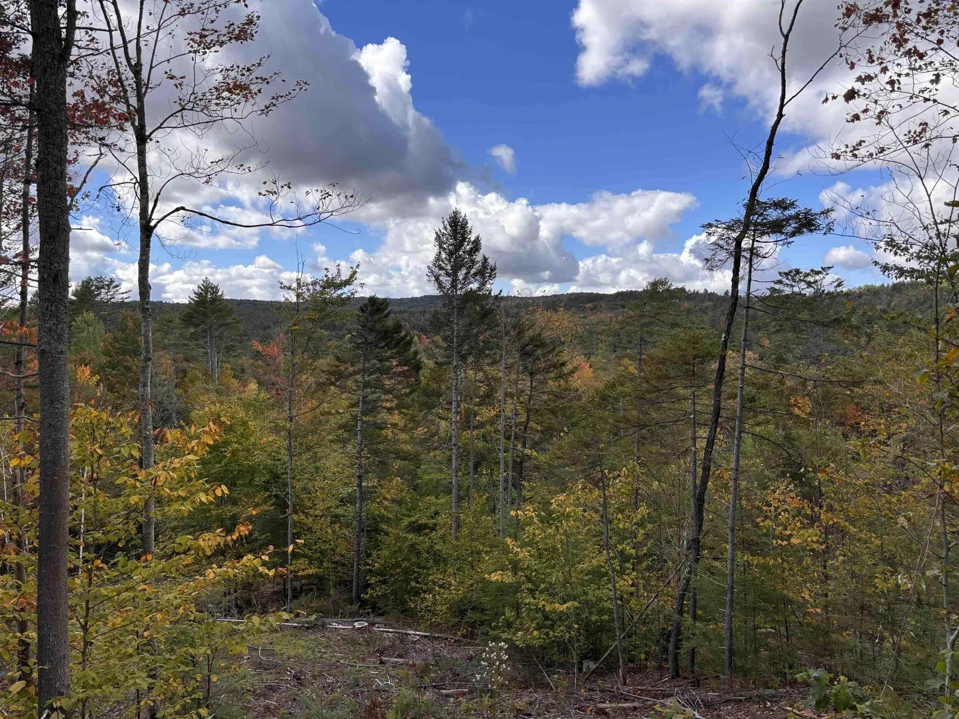 Lot 11-2 Ball Park Road Goshen NH 03752