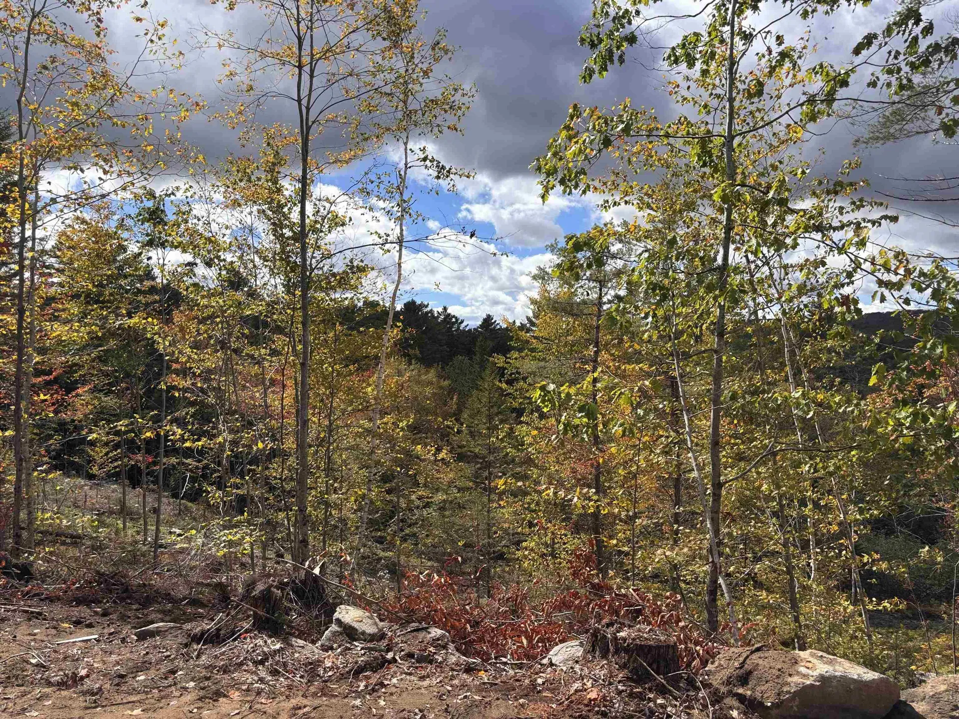 Lot 11-2 Ball Park Road Goshen NH 03752