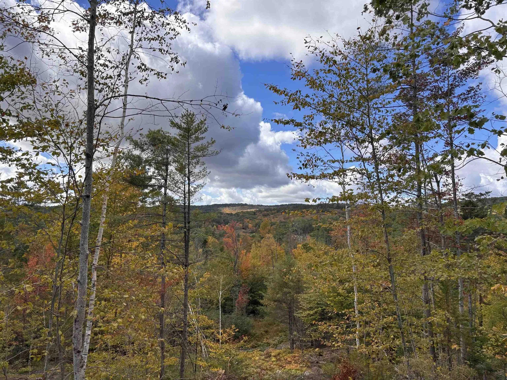 Lot 11-2 Ball Park Road Goshen NH 03752