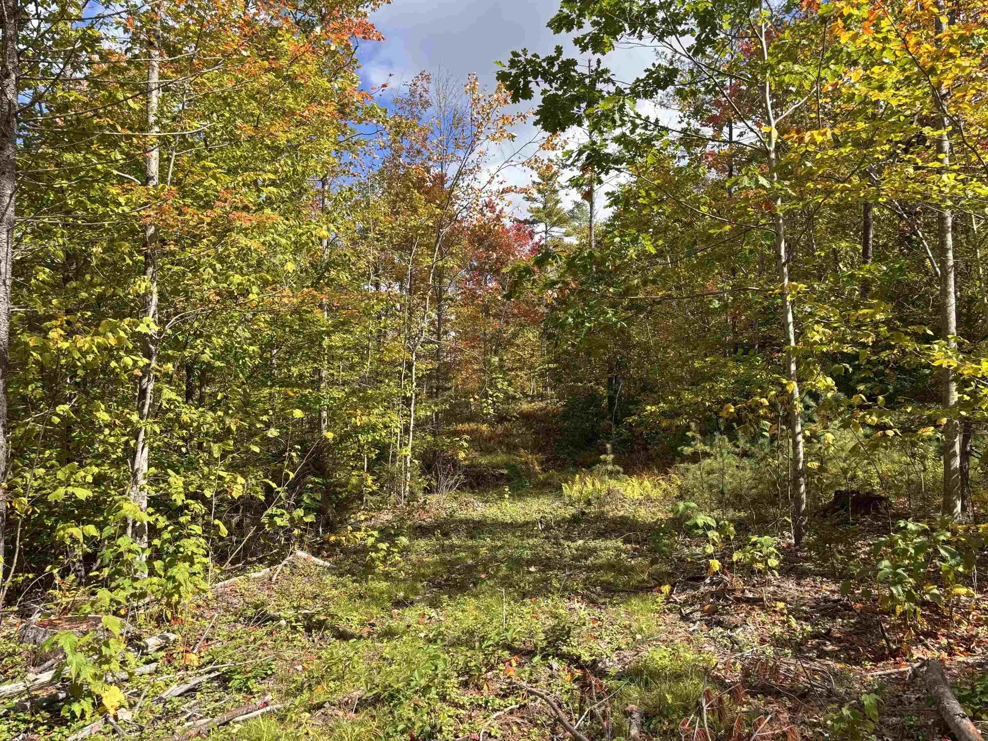 Lot 11-2 Ball Park Road Goshen NH 03752