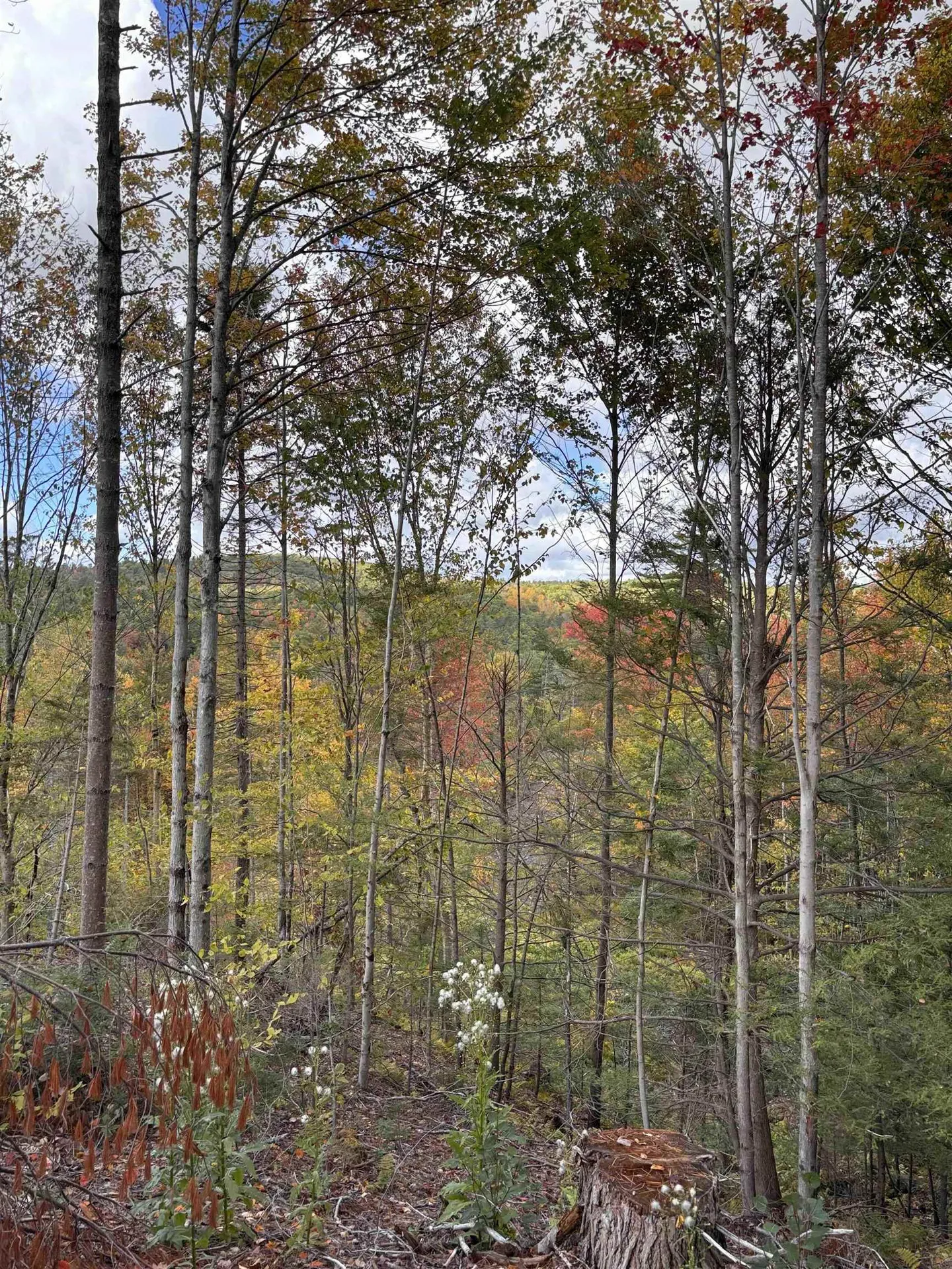 Lot 11-2 Ball Park Road Goshen NH 03752