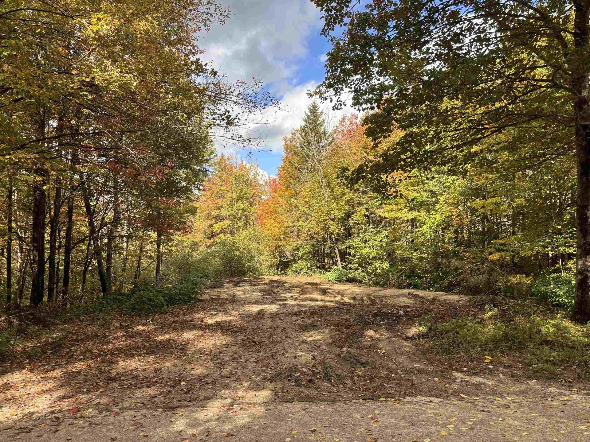 Lot 11-2 Ball Park Road Goshen NH 03752