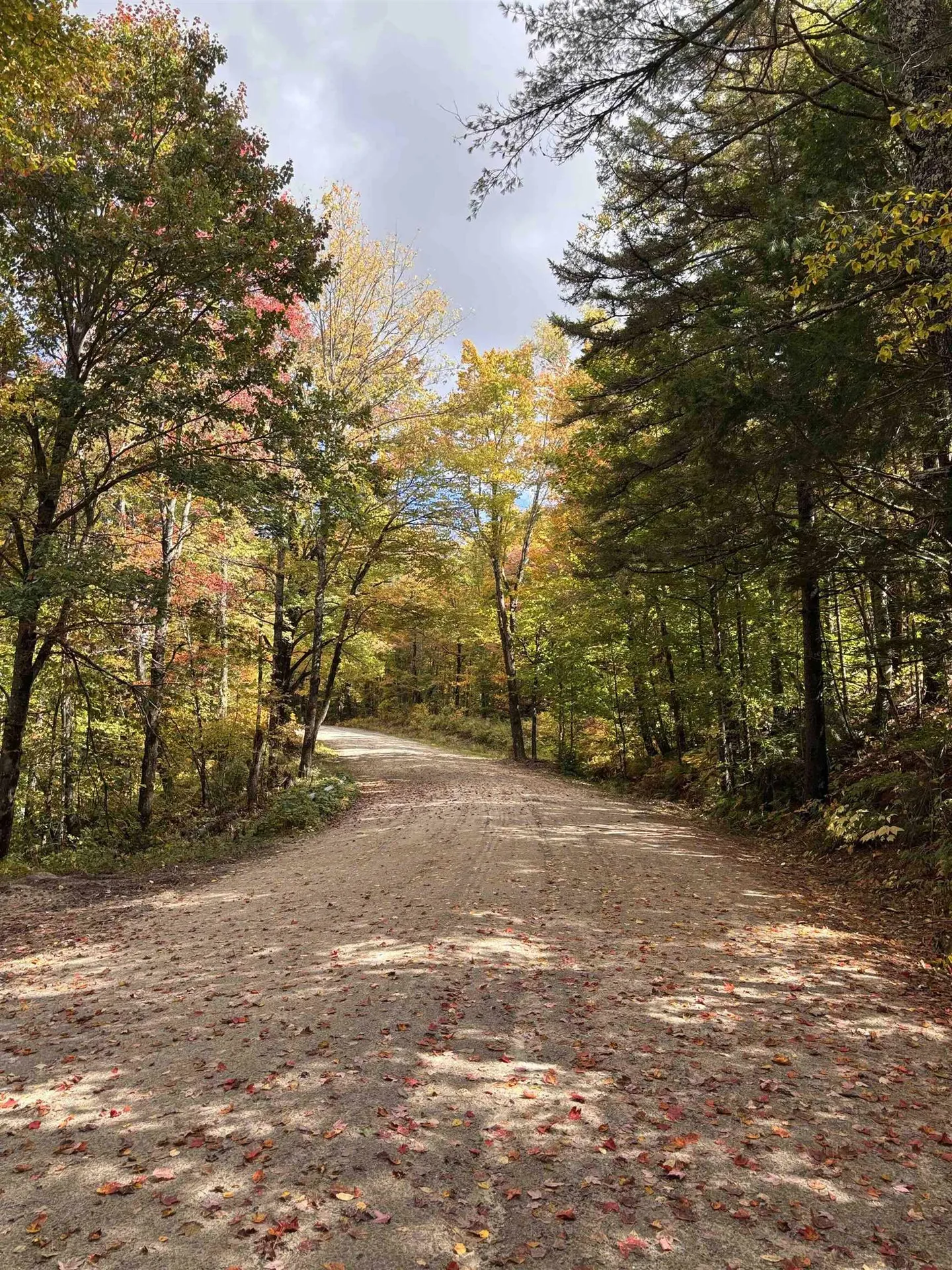 Lot 11-2 Ball Park Road Goshen NH 03752