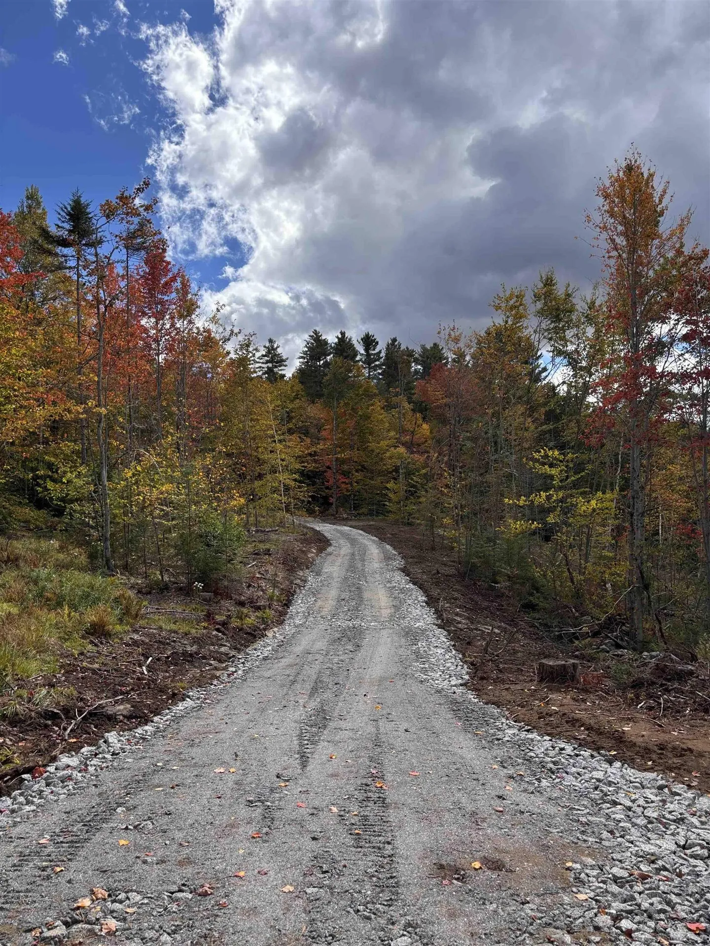 Lot 11-2 Ball Park Road Goshen NH 03752