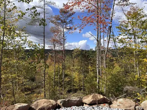 Lot 11-2 Ball Park Road Goshen NH 03752
