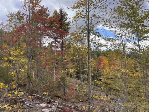 Lot 11-2 Ball Park Road Goshen NH 03752