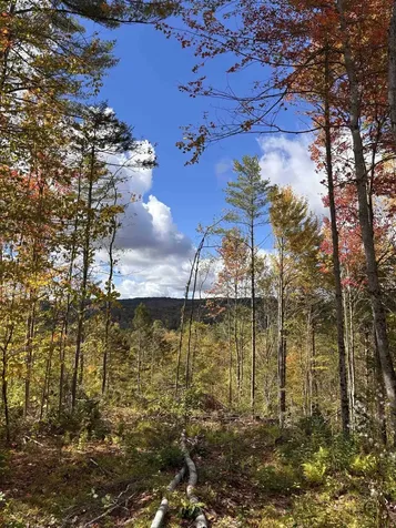 Lot 11-2 Ball Park Road Goshen NH 03752