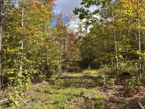 Lot 11-2 Ball Park Road Goshen NH 03752