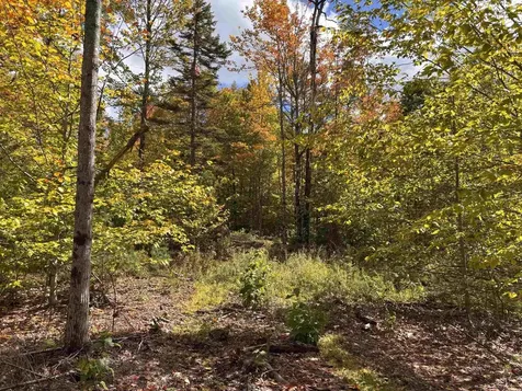 Lot 11-2 Ball Park Road Goshen NH 03752