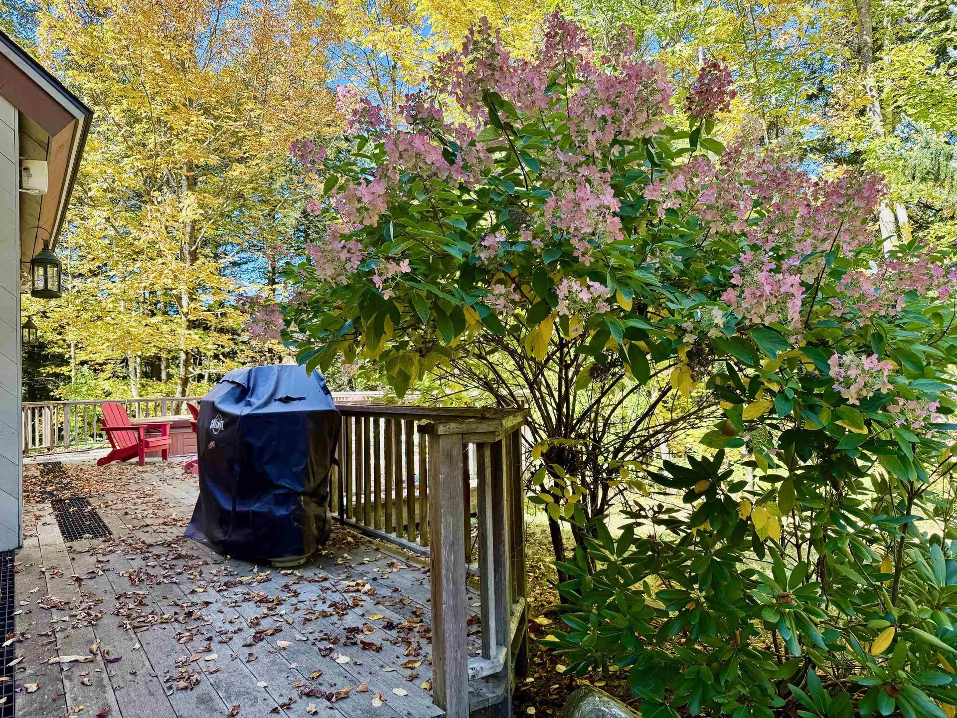 6 Chad Circle Winhall VT 05340