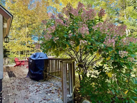 6 Chad Circle Winhall VT 05340