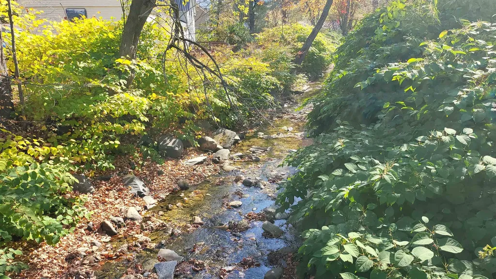 35 Pleasant Street Northfield VT 05663