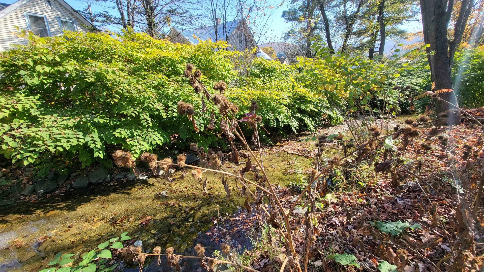 35 Pleasant Street Northfield VT 05663