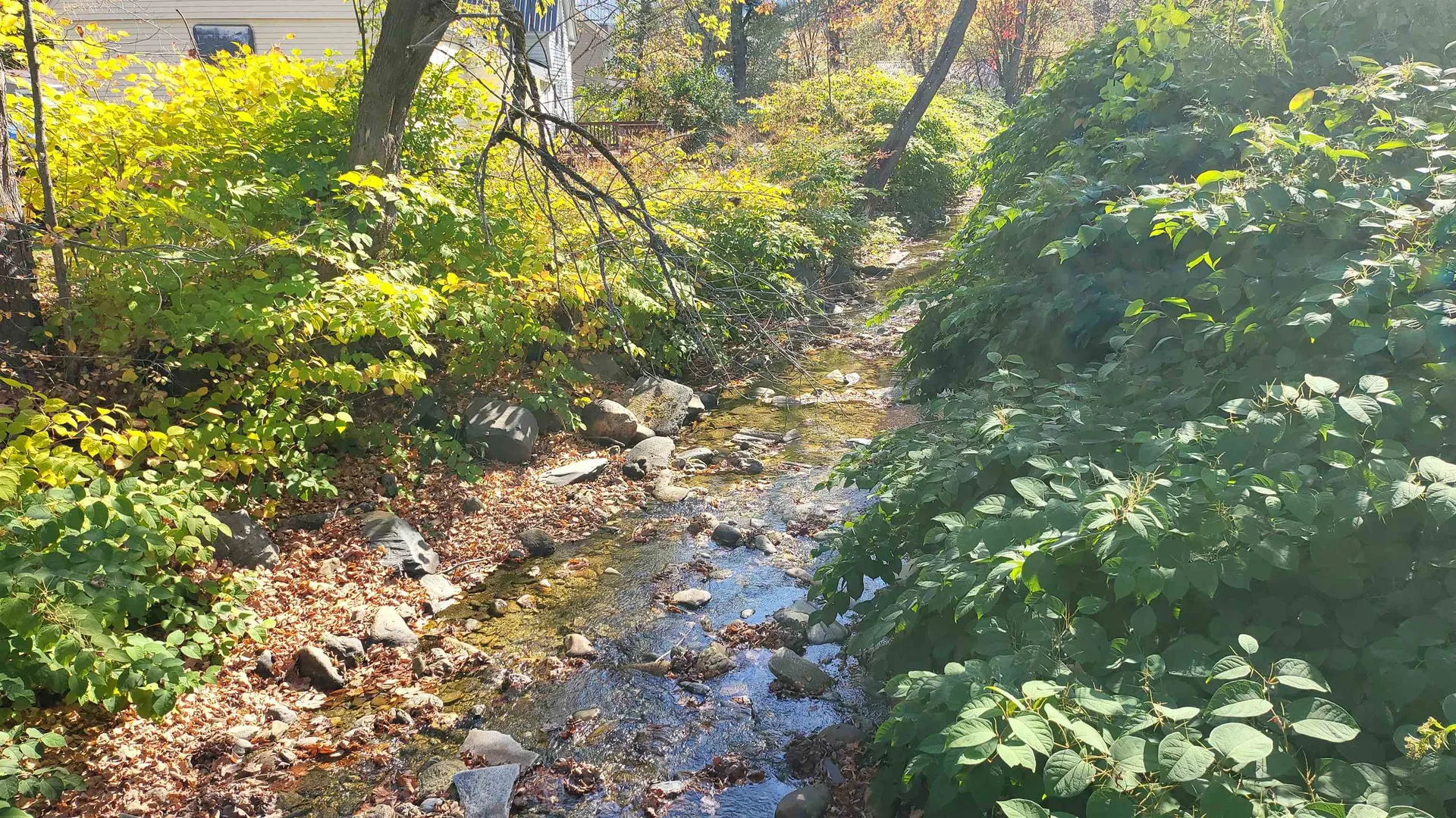 35 Pleasant Street Northfield VT 05663