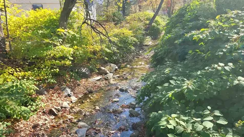 35 Pleasant Street Northfield VT 05663