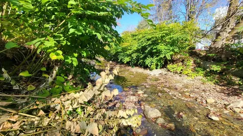 35 Pleasant Street Northfield VT 05663