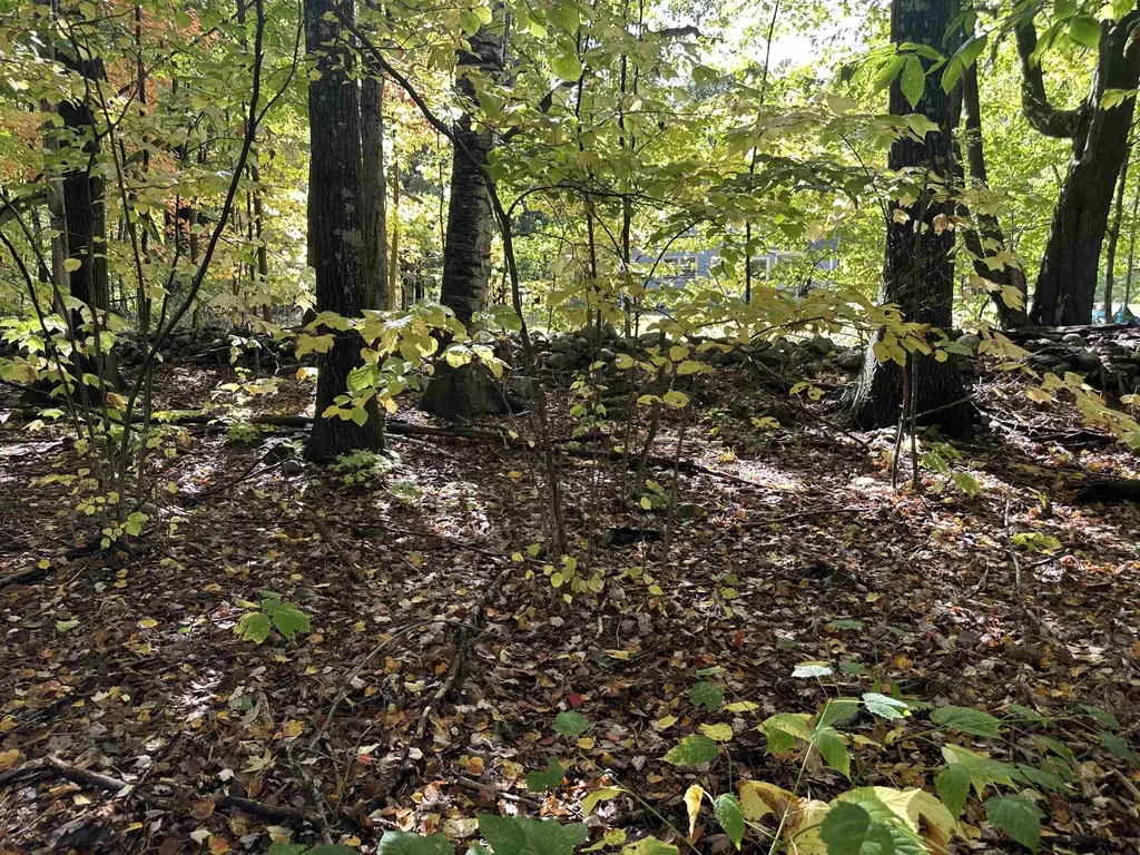 42 Lower Plains Road Middlebury VT 05753