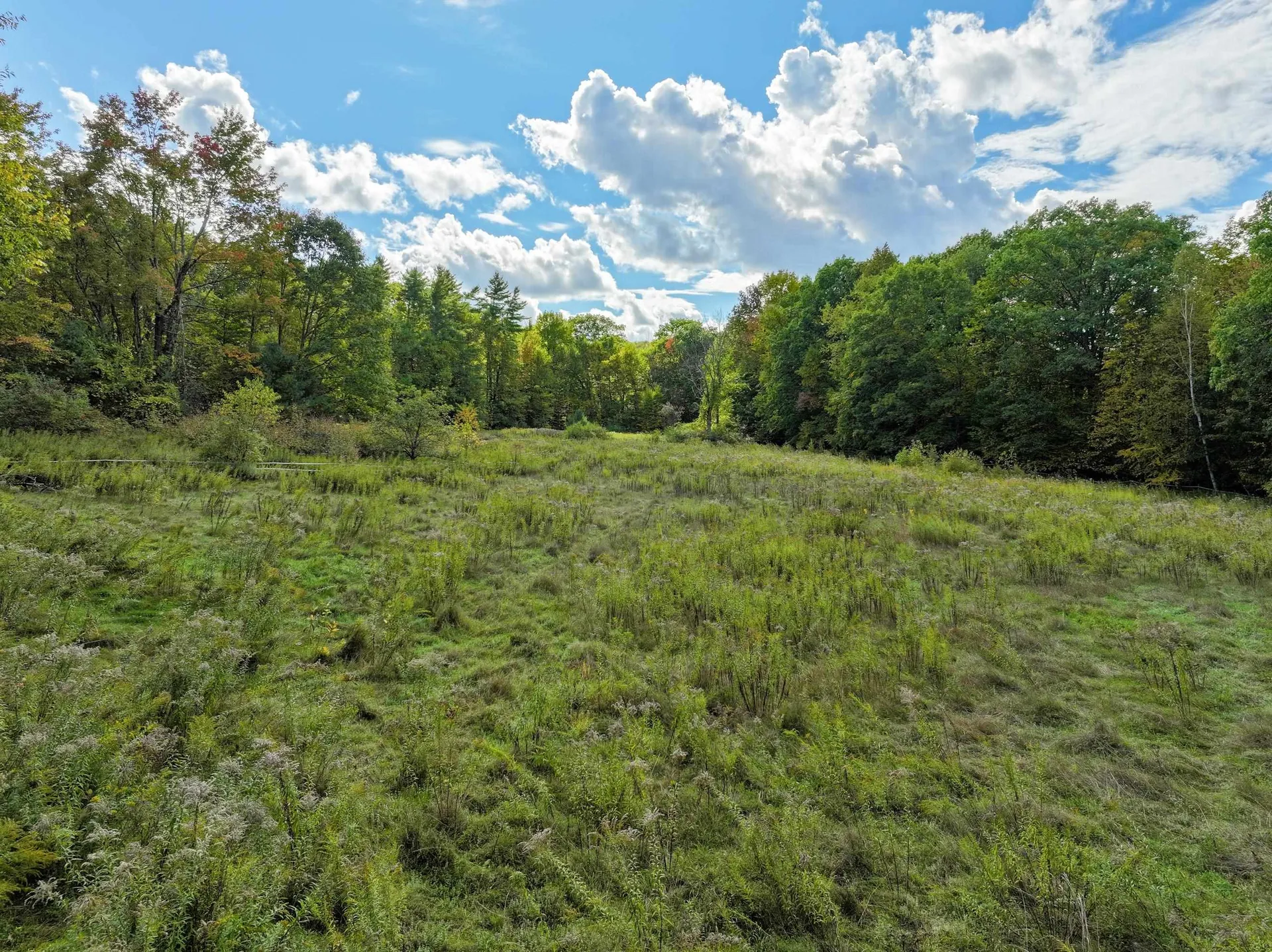 42 Lower Plains Road Middlebury VT 05753