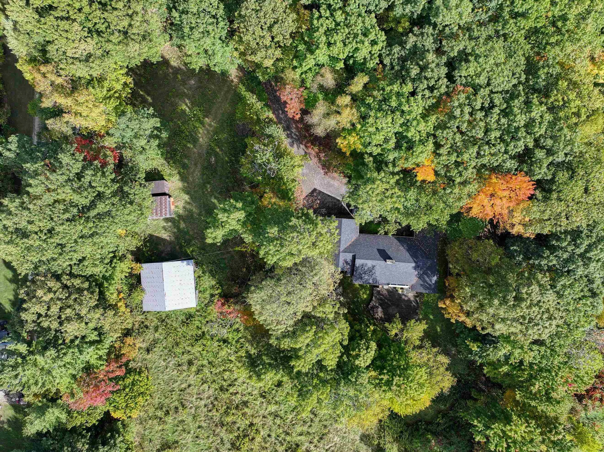 42 Lower Plains Road Middlebury VT 05753