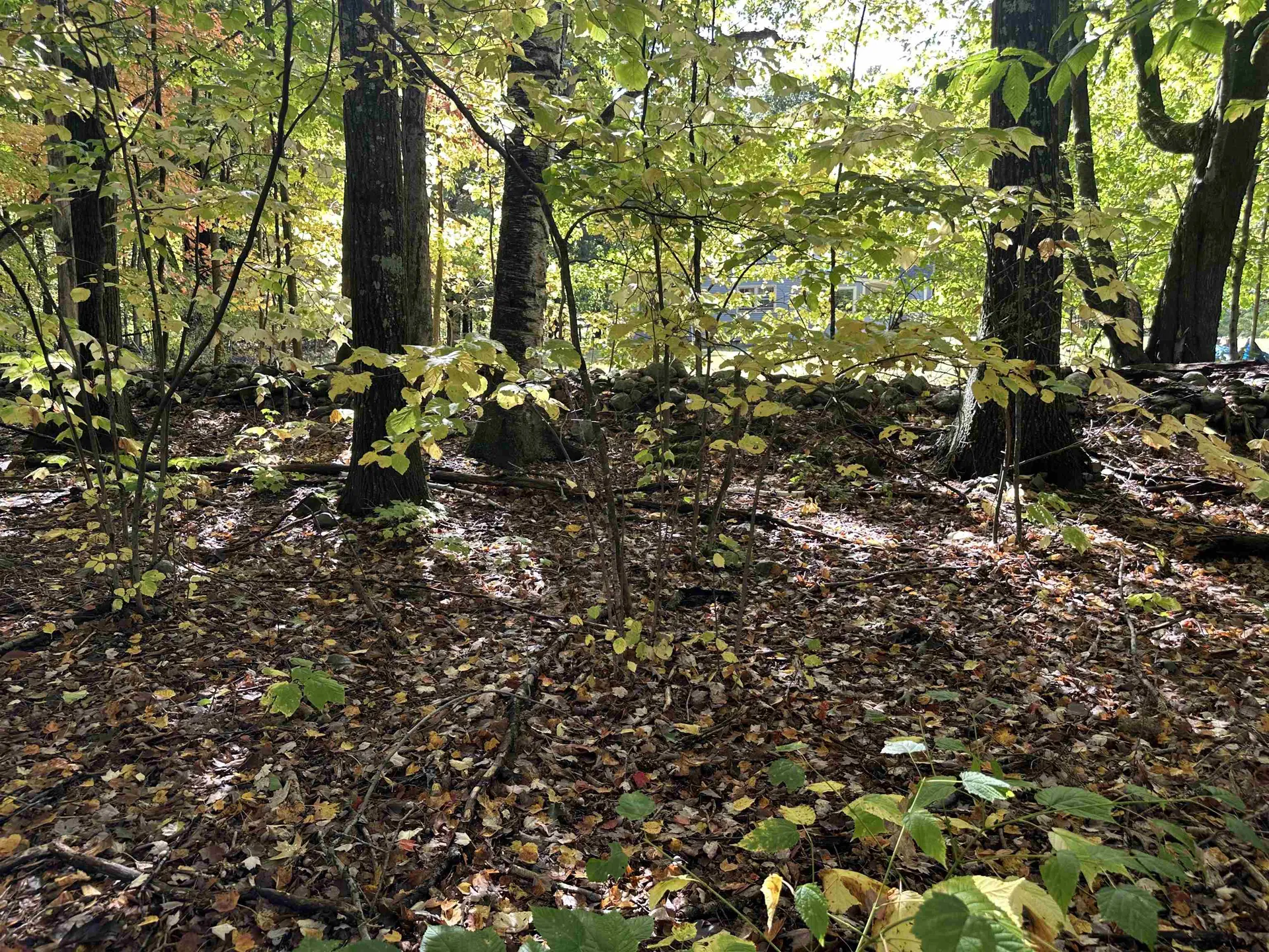 42 Lower Plains Road Middlebury VT 05753