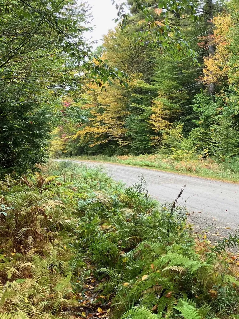 0 Flagg Road Marlow NH 03456