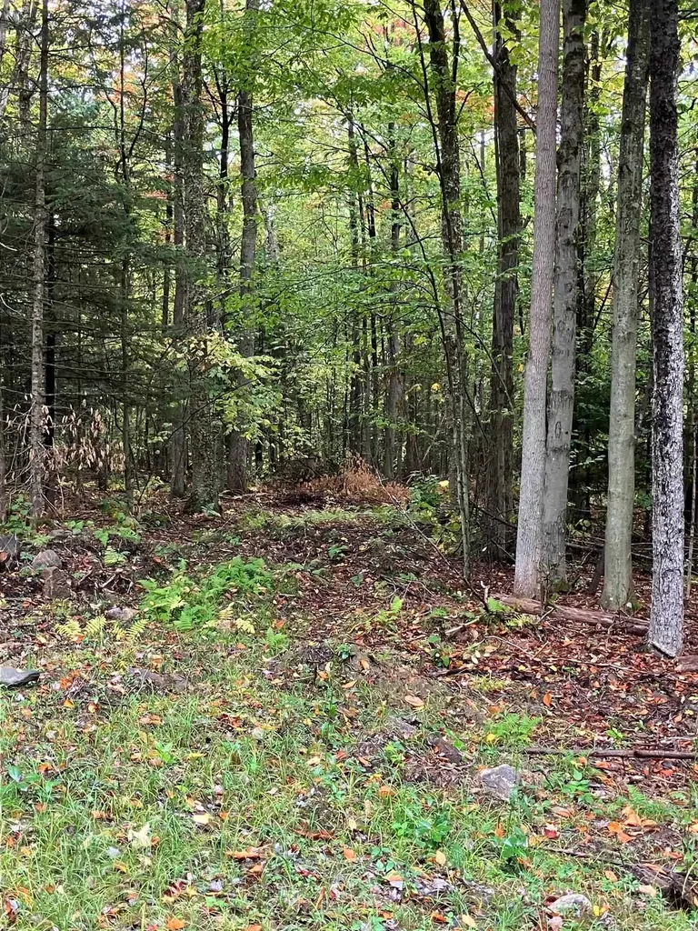 0 Flagg Road Marlow NH 03456