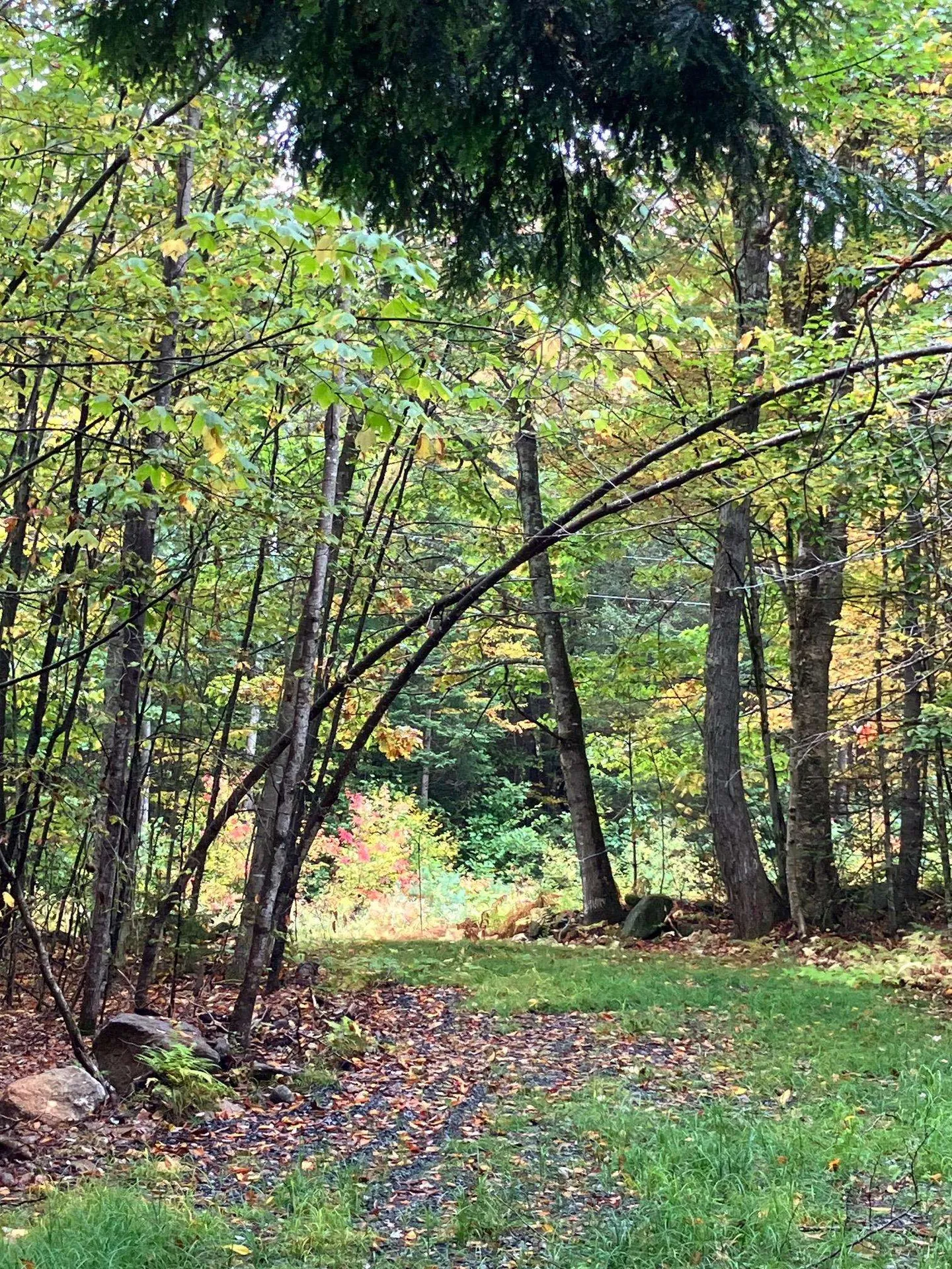 0 Flagg Road Marlow NH 03456