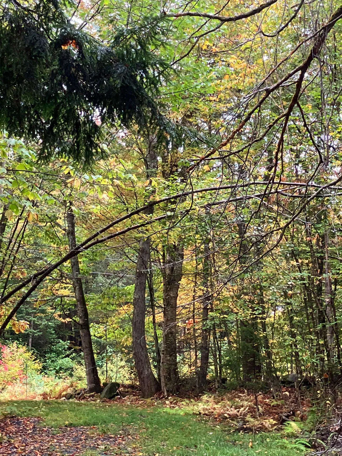 0 Flagg Road Marlow NH 03456