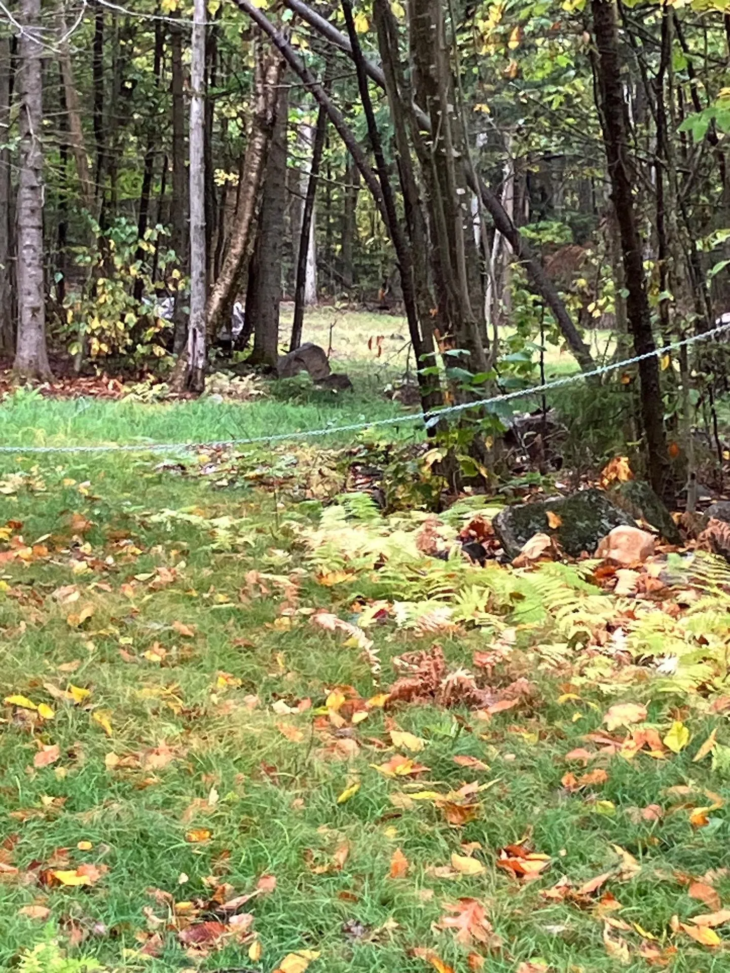 0 Flagg Road Marlow NH 03456