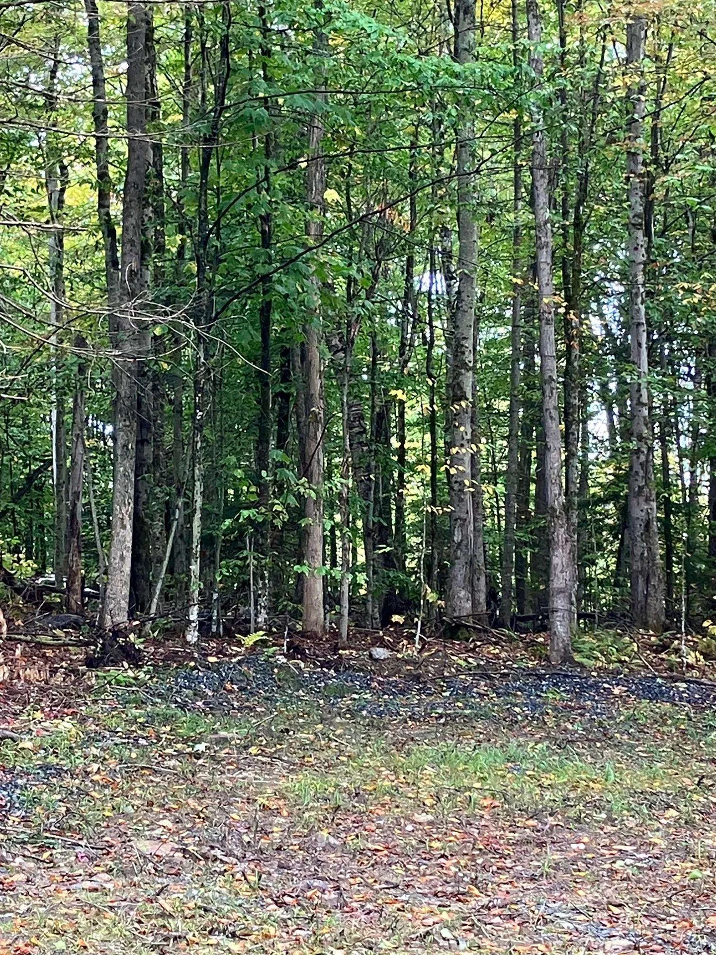 0 Flagg Road Marlow NH 03456