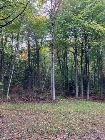 0 Flagg Road Marlow NH 03456