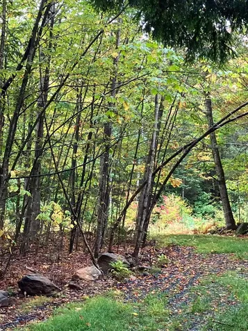 0 Flagg Road Marlow NH 03456