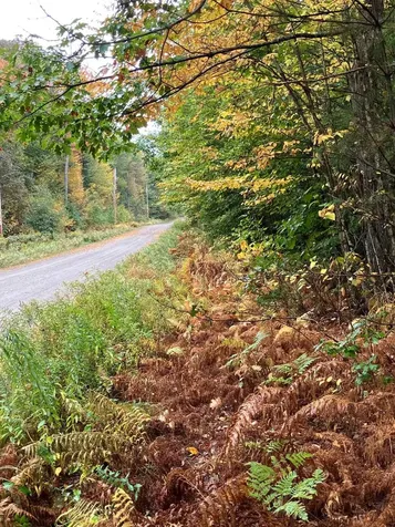 0 Flagg Road Marlow NH 03456