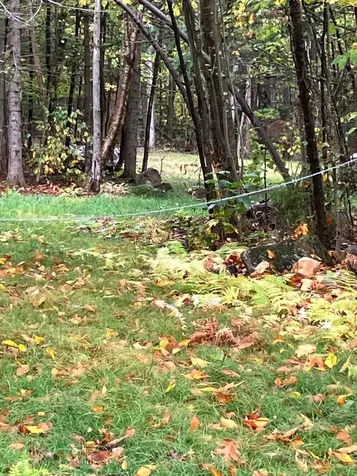 0 Flagg Road Marlow NH 03456