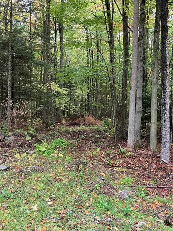 0 Flagg Road Marlow NH 03456