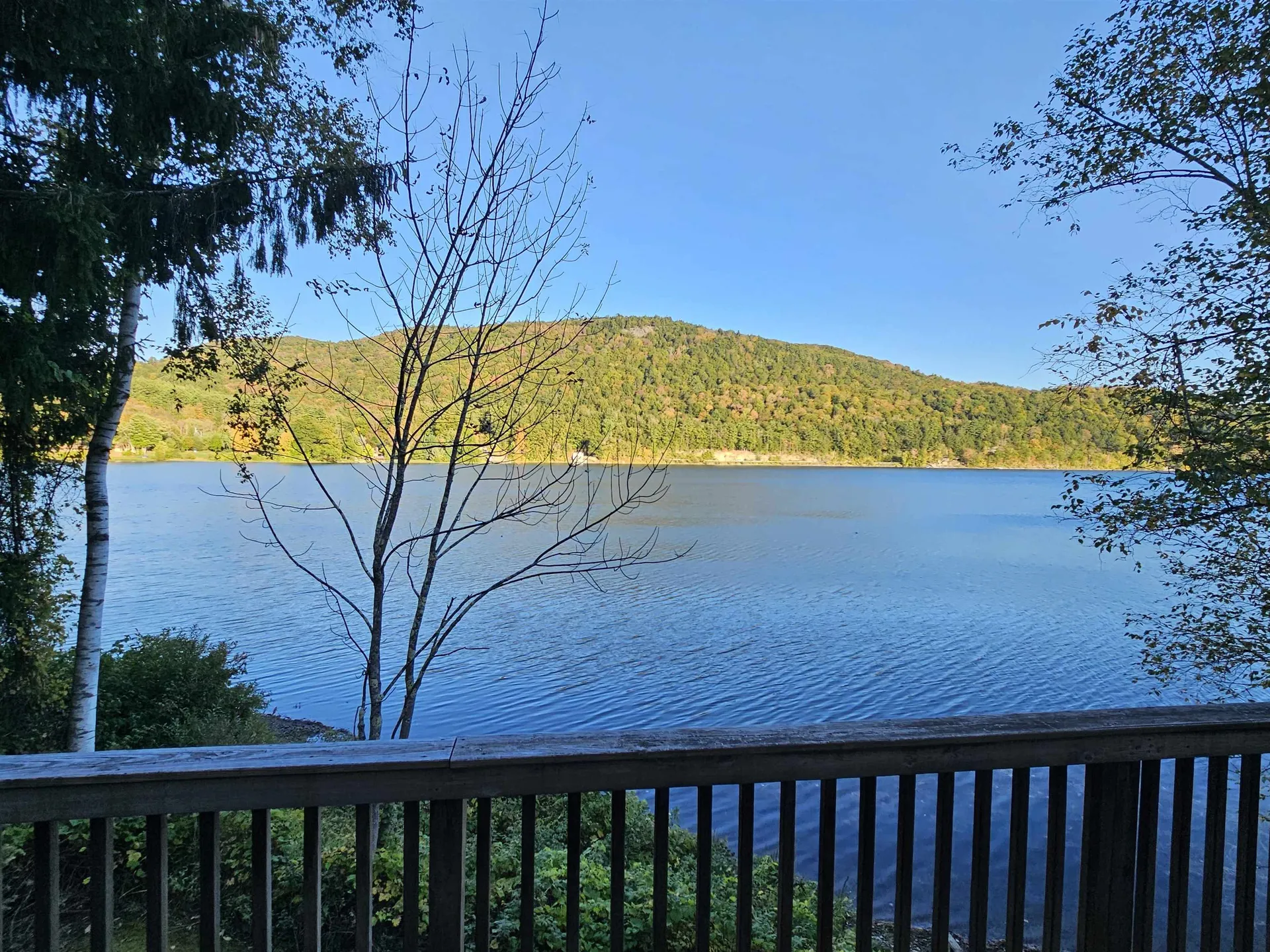 421 Birch Road Hubbardton VT 05735