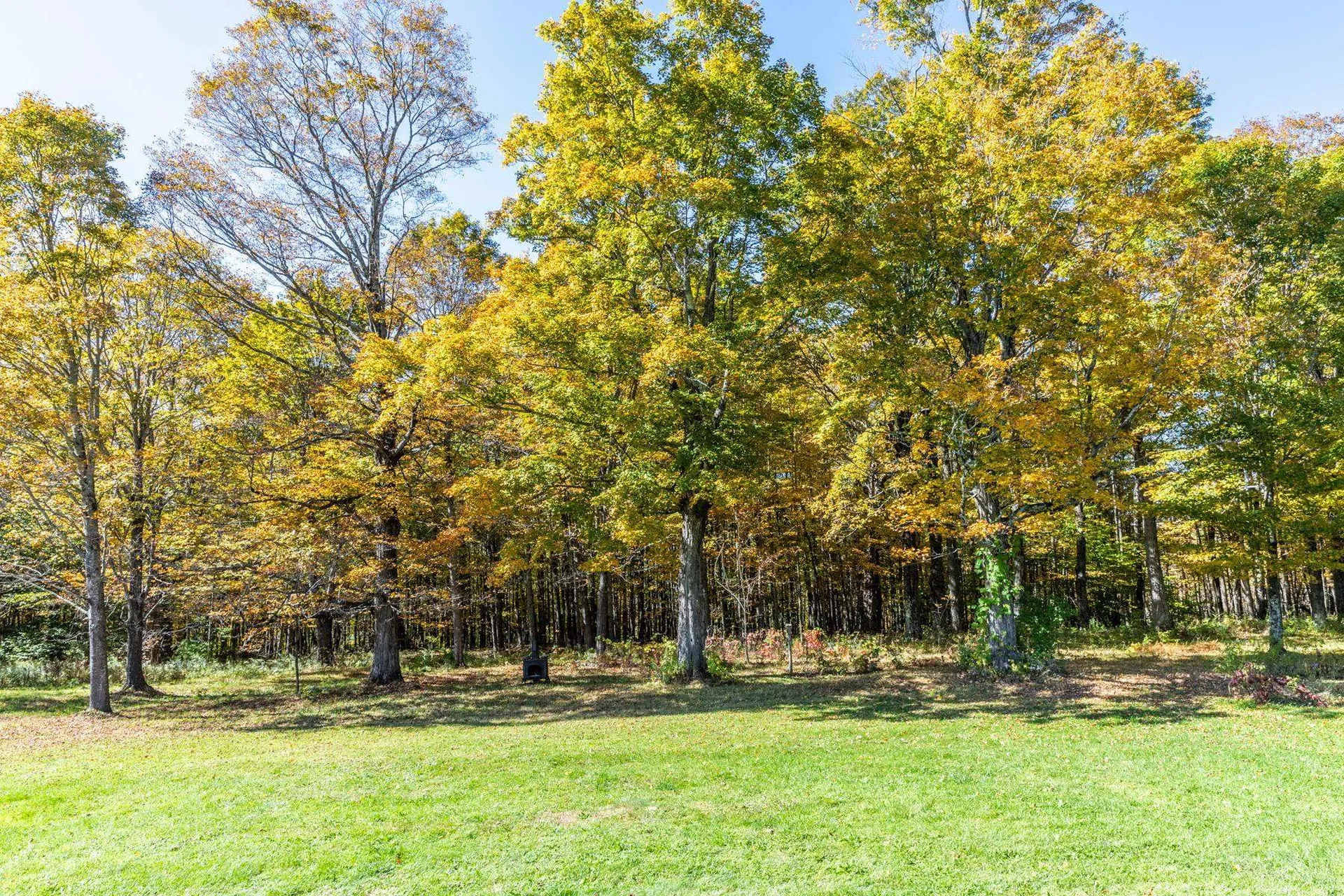 1421 Shaw Mansion Road Waterbury VT 05676