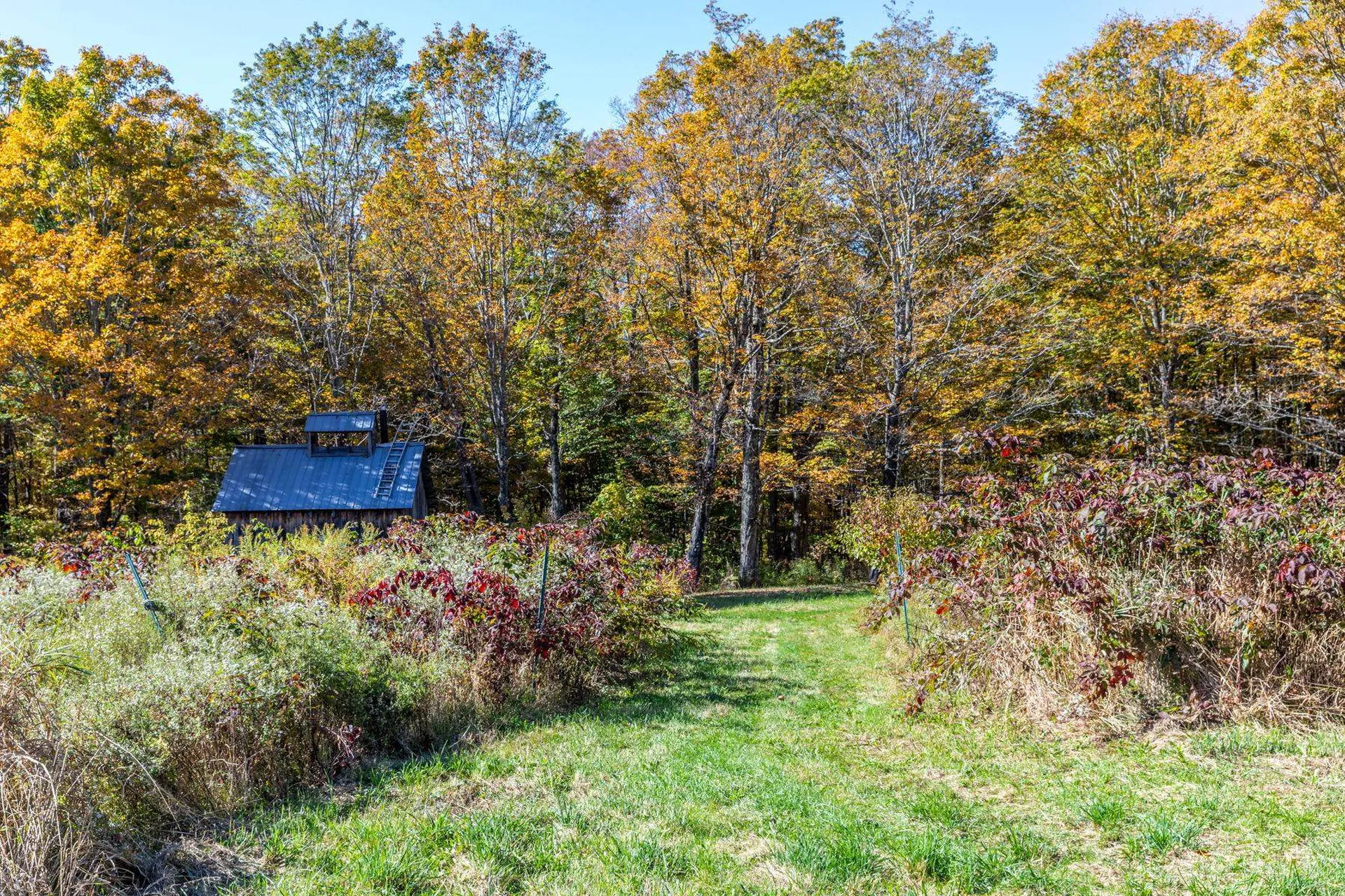 1421 Shaw Mansion Road Waterbury VT 05676