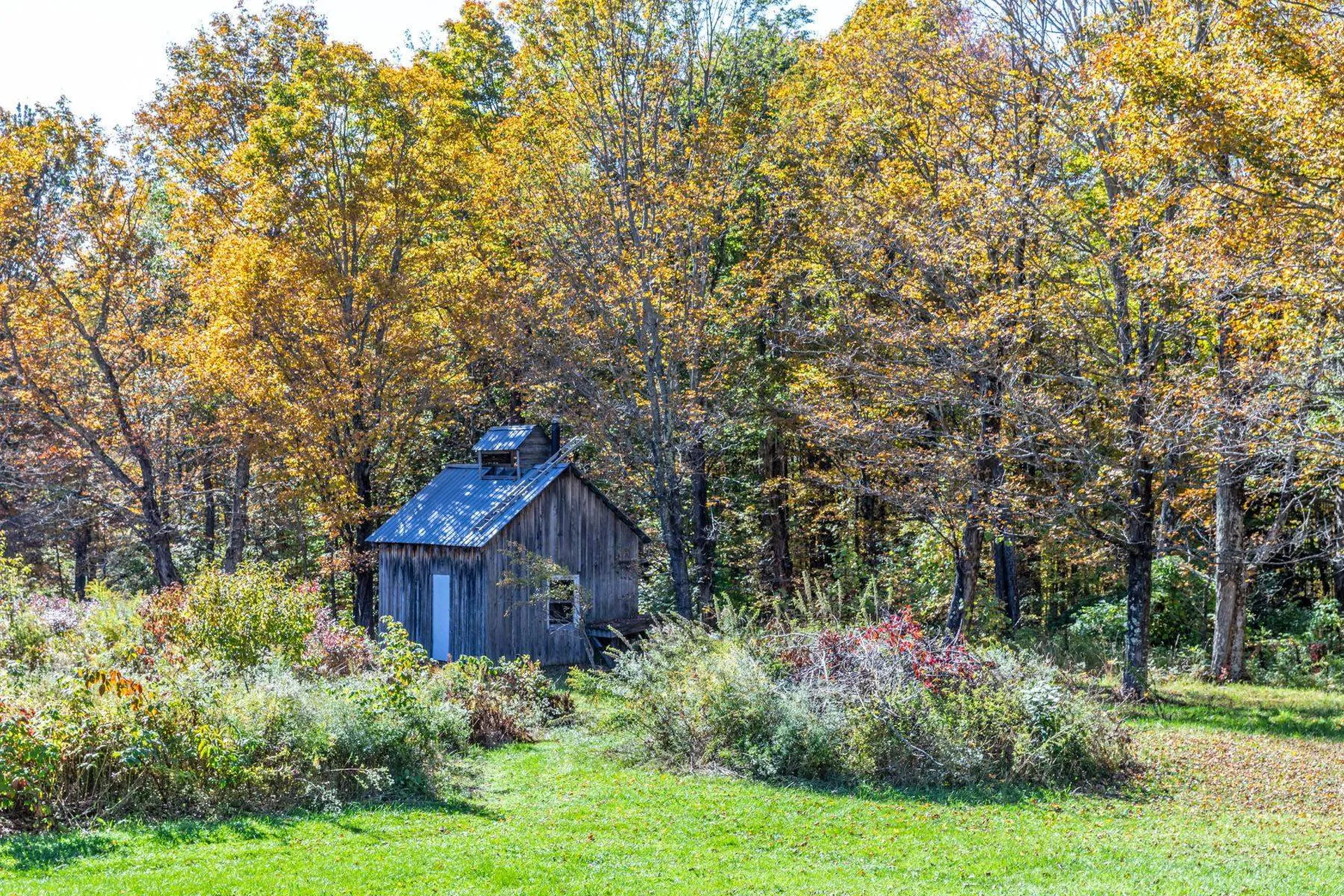 1421 Shaw Mansion Road Waterbury VT 05676